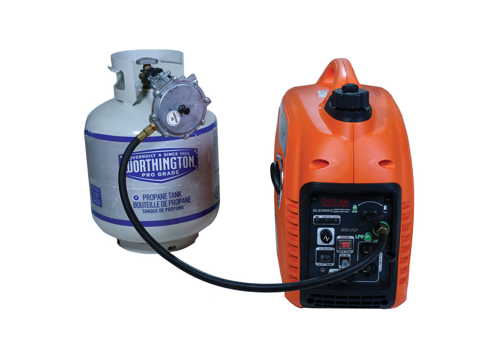 2000W Inverter generator (Dual fuel: LPG and Gas)