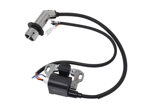 DUP440008 (2).jpg