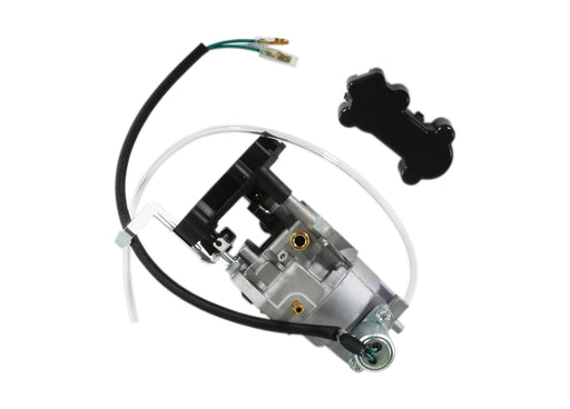 DUP440022 (1).jpg