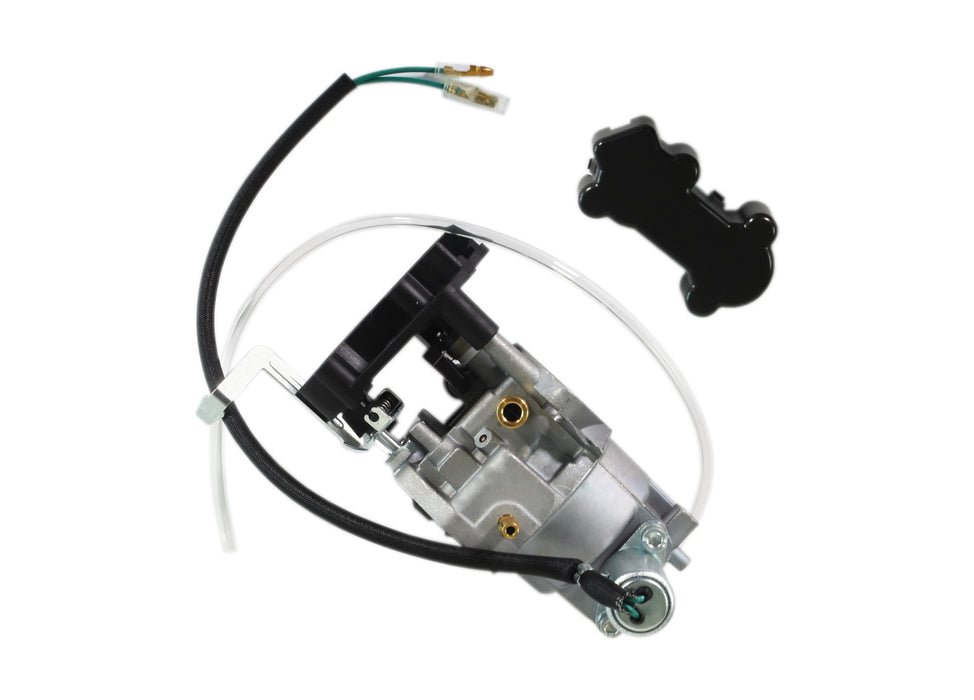 DUP440022 (1).jpg