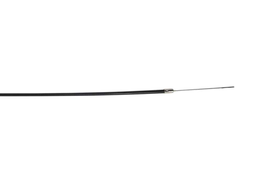 DUP599941 (3).jpg
