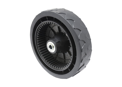 DUP606006 (2).jpg